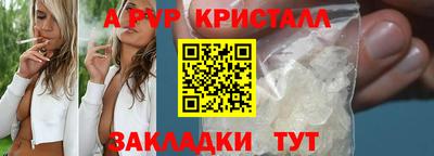 крисы Малоярославец